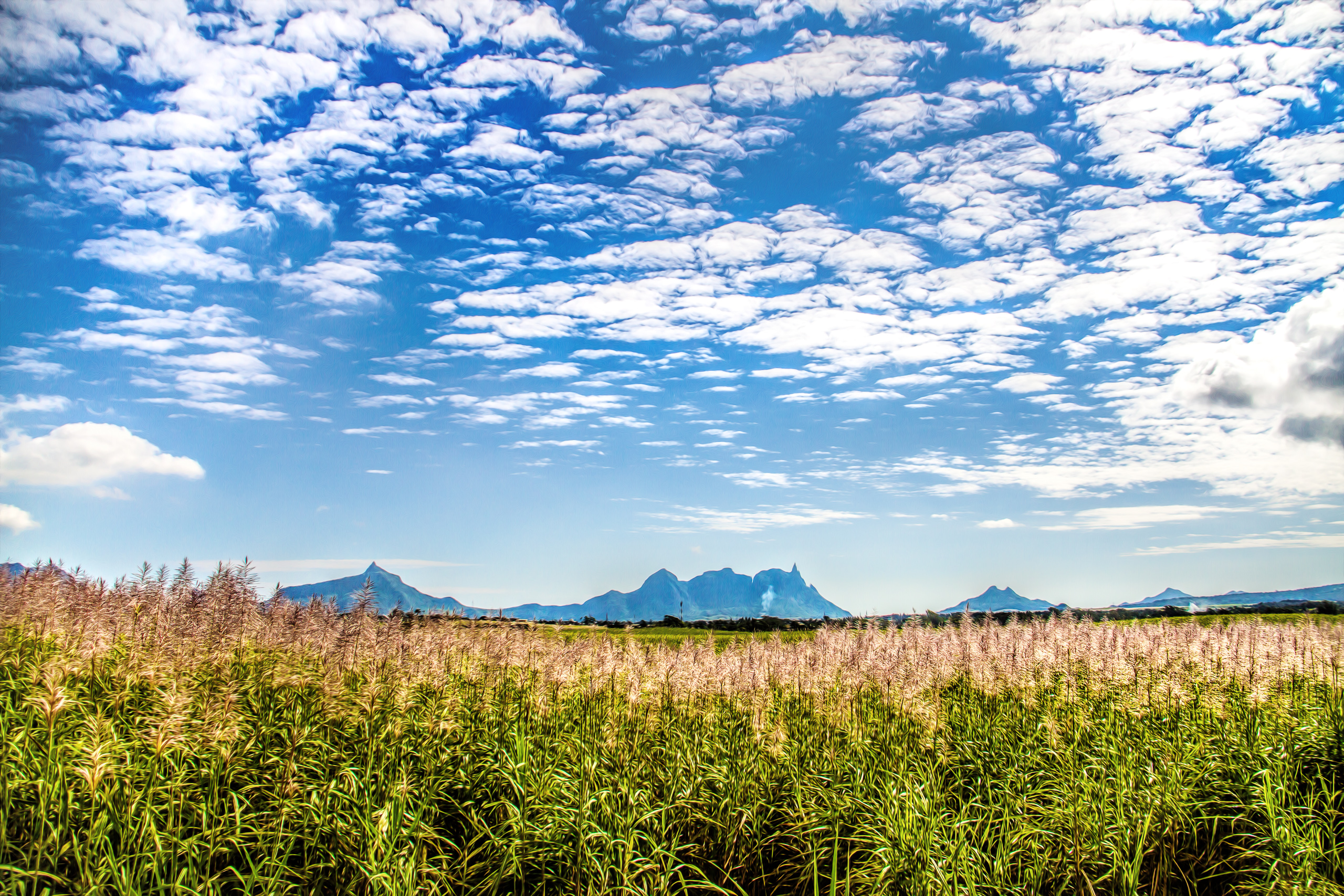  MG 1355 Bearbeitet webfotos